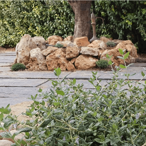 Création de jardin paysager-petanque et paysage.fr-Gémenos- Cassis-la Ciotat-Aubagne-Marseille